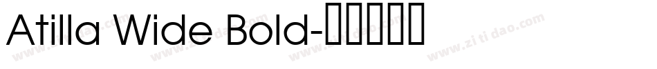 Atilla Wide Bold字体转换